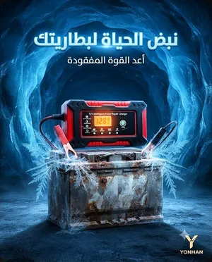 شاحن بطاريات السيارات الذكي يشحن بطارية السيارة مباشرة من التيار الكهربائي  مع خاصية الإصلاح بالنبض