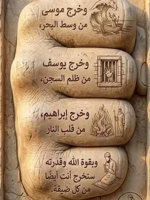 مطلوب مجموعه انجاره للبيع