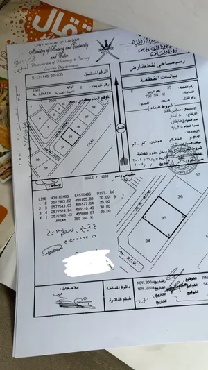 ارض العينين