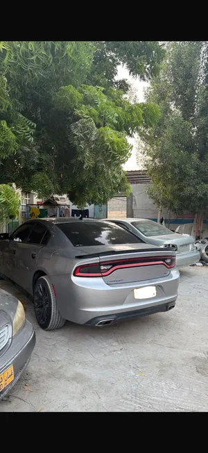 بنفر خلفي دوج تشارجر وكاله