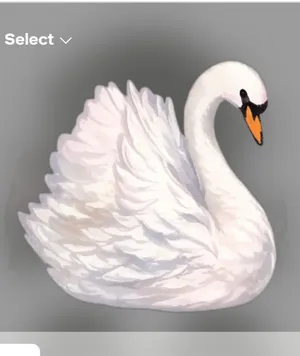طيور بادجي