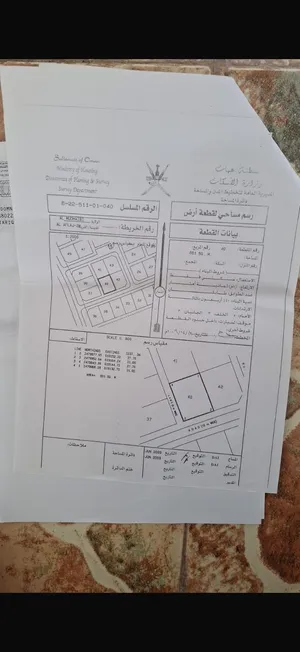 ارضين شبك المضيبي الافلاج