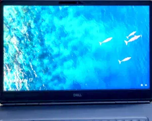 Windows Dell for sale  in Al Riyadh