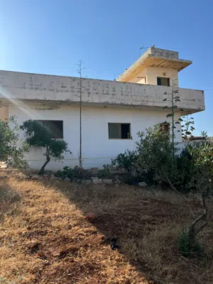 للبيع مزرعة زيتون + بيت ريفي - عنيبة جرش *المساحة*: 10 دونمات مشجره  زيتون مثمر