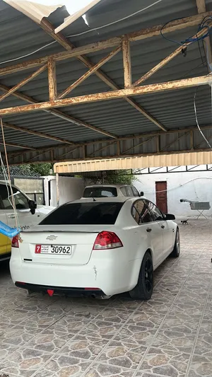 Chevelot lumina 2007