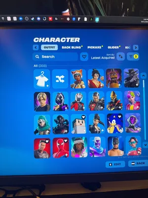 حساب فورتنايت ، فيه نوادر ، 333 سكن ، 376 اكس ، 208 مظله ، 876 رقصه .
