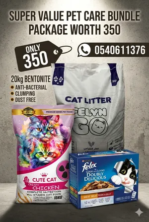 cat litter training, marriage to male cat, male cat mating
