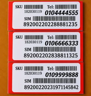 Vodafone VIP mobile numbers in Cairo