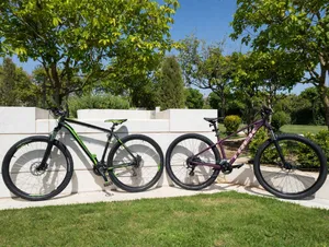 Bicycles Trek and Merida