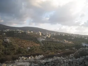 Residential Land for Sale in Nablus Asira Ash-Shamaliya