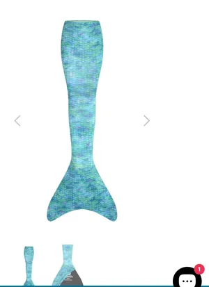 Mermaid tail along with awning clothes from Atlantis