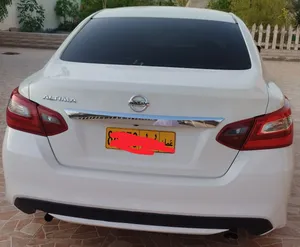 التيما 2018 بيضاء