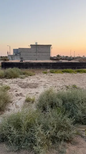 Farm Land for Sale in Basra Al-Jazzera