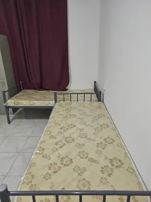 Furnished Monthly in Sharjah Al Qasemiya