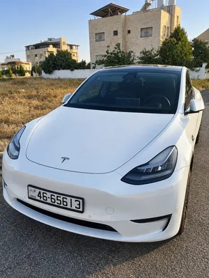 Tesla Model Y Standard Range 2021