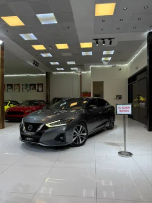 Used Nissan Maxima in Ajman