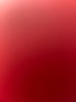 للبيع معدات مطعم ( مطبخ مستخدم استخدم قليل ) نظيف
