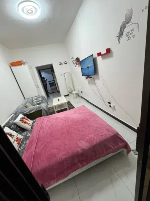 Furnished Monthly in Abu Dhabi Al Mushrif
