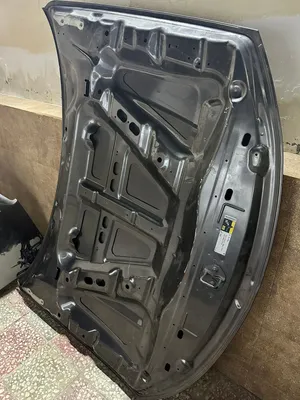 دوج تشارجر RT