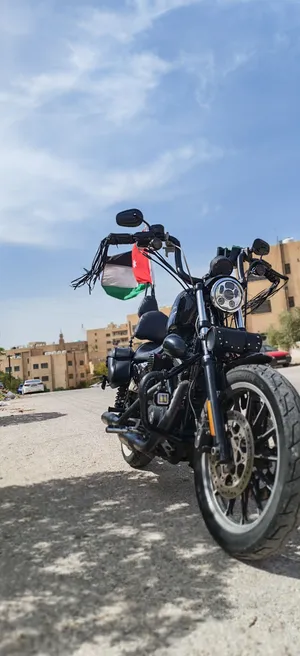 هارلي سبوستر 2014 883
