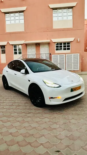 TESLA MODEL Y PERFORMANCE 2023
