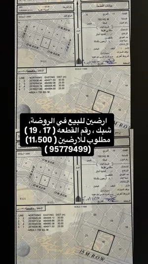 للبيع اراضي ف البانه الروضه  ولا الهجر