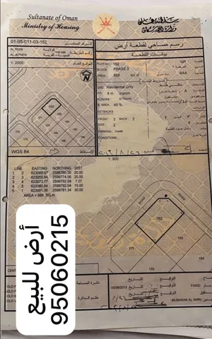 سكني الجفنين