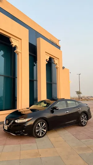 Used Nissan Maxima in Um Al Quwain