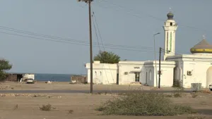 ارضين شبك خط اول الشارع البحري في ولاية صحم مربع الرده مع توفر الخدمات وبسعر مميز