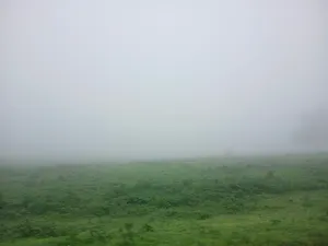 مطلوب شراء اراضي في صلالة من المالك مباشرتآ