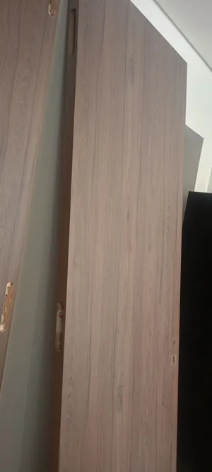 Door Maintenance and Painting Services