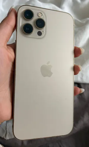 iPhone 12 max pro max
