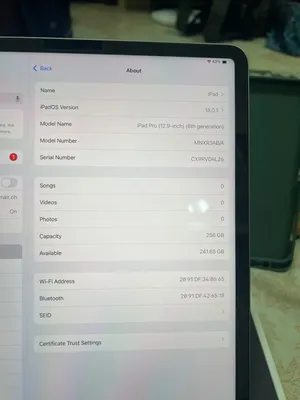 Apple iPad Pro 256 GB in Dammam