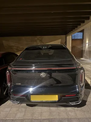 2024 MG whale