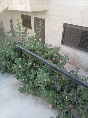 شقق للايجار