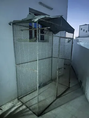 للبيع قفص نظيف