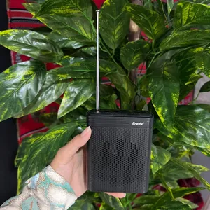 مكبر صوت محمول Brodu BTS-1383 مع مايكروفون لاسلكي وبلوتوث FM