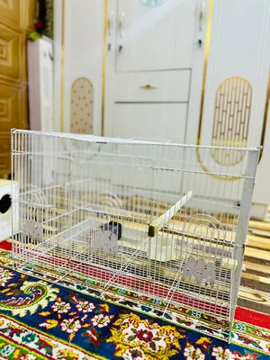 قفص طيور كوكتيل تزاوج للبيع تفاصيل ب وصف