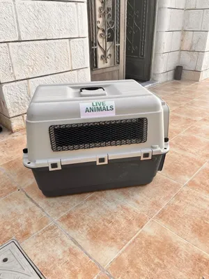 مجموعة مستلزمات قطط (صندوق نقل وطيران + صندوق تراب + صحن ستانلس)