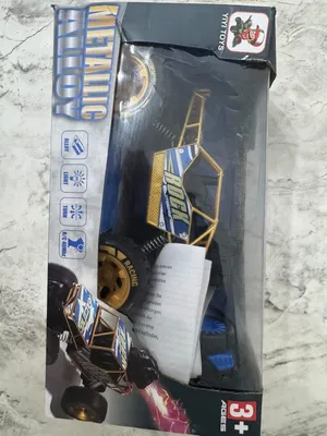 RALLY CAR DESERT  REMOT
