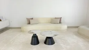 Modern curved sofas 2 piece with table