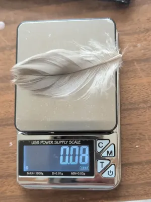 ميزان دقيق 0.01 - 200 g اا