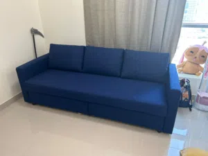 Sofa set and couches