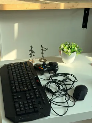 كيبورد و ماوس جيمنج شركة HAVIT مع جهاز xbox