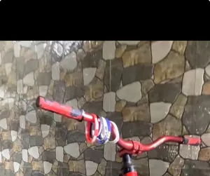 سكان برازيلي احمر للبيع الوصف مهم