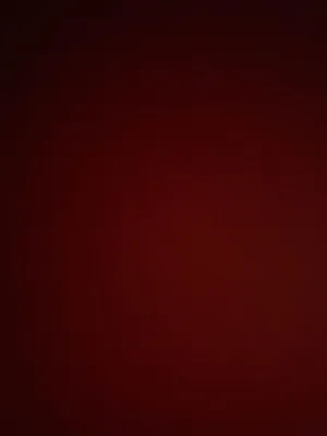 ابحث عن سيار اقصاط بنضام شيكات