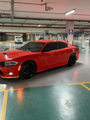دوج تشارجر سكات باك 2023 لاست كول 2023 Dodge Charger Scat Pack Last Call