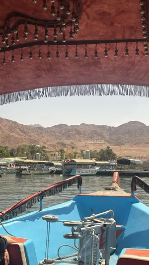 مطلوب شقه للايجار