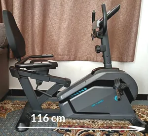 Skyland Recumbent Exercise Bike