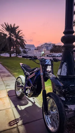 Surron ultra bee